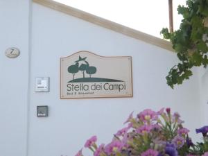 Stella Dei Campi