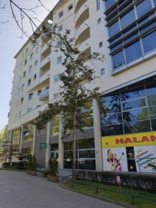 Apartament Starowiejska