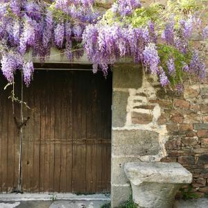 Hotels le Saint-Etienne : photos des chambres