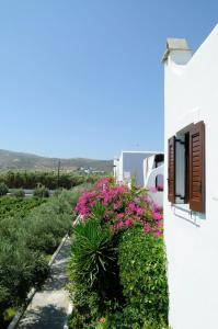 Marili Apartments Studios Paros Greece