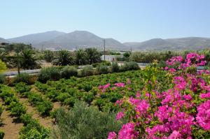 Marili Apartments Studios Paros Greece