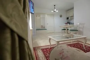 Baroc Apartments & Studio Sibiu - 锡比乌