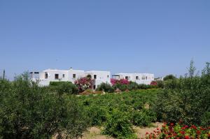 Marili Apartments Studios Paros Greece