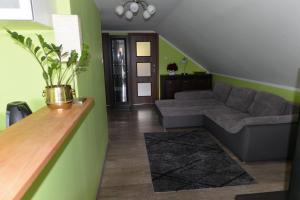 Apartament u Robsona