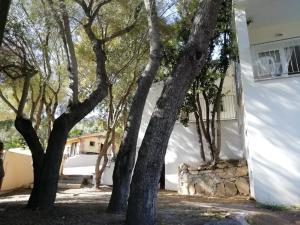 In campagna da Nino img46