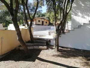 In campagna da Nino img4