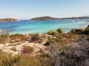 Adonis Family Forest House Halkidiki Greece