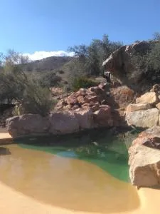 Biznaga - Casabermeja