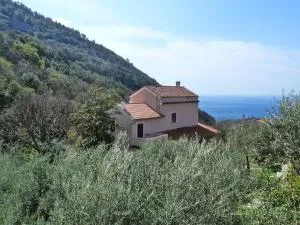 Casa Puccini B&B Maratea - تريكينا