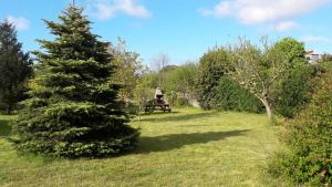 La Casa del Carballo