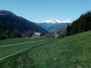 Turmhaus am Perschlhof