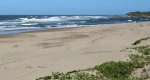 The Eden Palms - 乌旺戈海滩