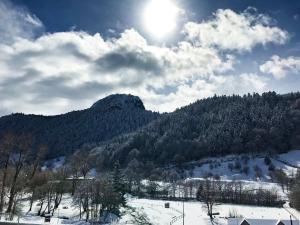 Hotels Hotel Les Mouflons : photos des chambres