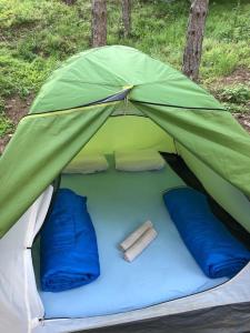 Rafting camp Adventure Net
