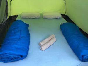 Rafting camp Adventure Net
