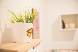 NICE HOME city center