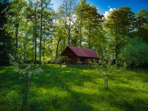 Vikendica Silent Orchard Naklo Slovenija