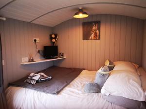 Pen-Rhos luxury glamping "Cuckoos Nest"