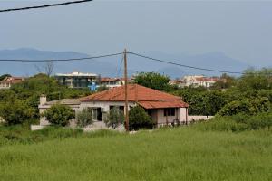 Green House Nafplio Argolida Greece