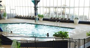 One King Bed- Pool side ADA room in Emerald Beach Hotel Corpus Christi