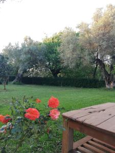 La Casa di Caterina: Nature,Relax and Private Garden Lefkada Greece