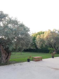 La Casa di Caterina: Nature,Relax and Private Garden Lefkada Greece