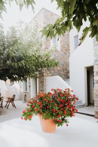 Augustis Suites Andros Greece
