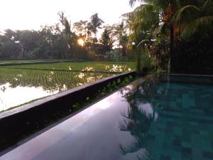 Ubud Lestari Bungalows