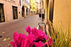 Residenza Castello - Holiday Home Garda Trentino