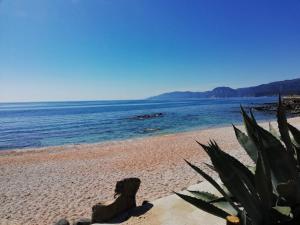 Il Lentischio holiday home img14