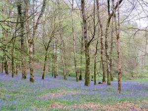 Triumphal Arch Lodge