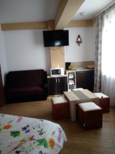 Apartament si Studio Daniel