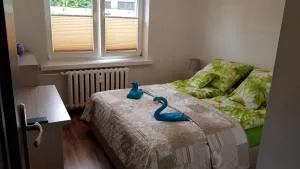 de Gaulle'a 20 - 扎布热