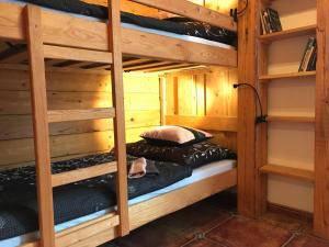 Rustical Apartment in Sumava National Park