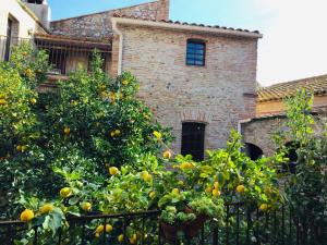 Maisons d'hotes La Vieille Demeure : photos des chambres