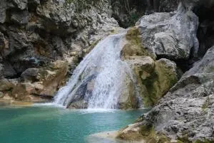 Olivenhuset - Navacelles