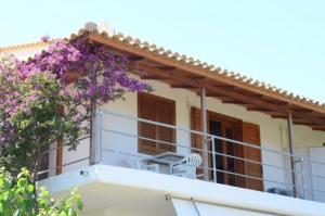 Theodore Apartments Ilia Greece