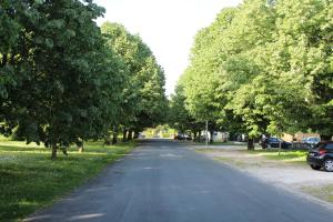 Maisons d'hotes LES TRESORS DE LIZZIE : photos des chambres