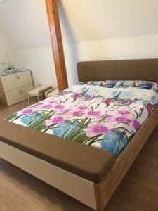 Tisza-Tavi Apartmanok