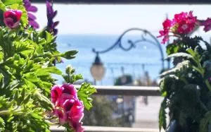 La Collina dei Ciliegi - Salerno