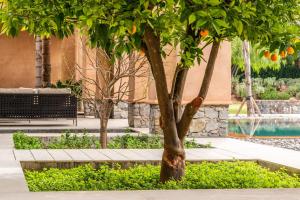 Zagora and Marhba villas Marrakech - by EMERALD STAY