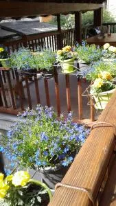 Martorey CIR 10 - Verrès