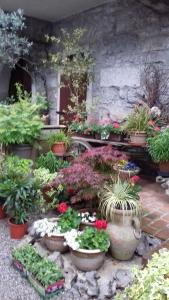 Apartmaji pri Živcovih