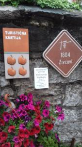 Apartmaji pri Živcovih 