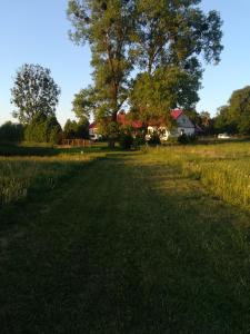 Pokoje gościnne Temir