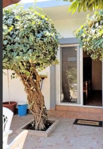 Apartment with Garden View room in Apartments Chiara