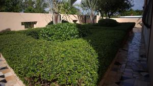 Apartamentos Nuevo Amanecer