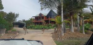 Escape 1770 Motel - No Kids - NO SMOKING - No Partying