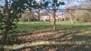 Maisons de vacances Ar Merglet - Grande longere authentique en Broceliande : photos des chambres