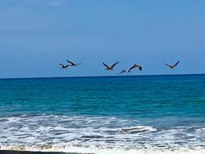 Matices del Mar en Canoas